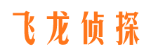 大东侦探公司